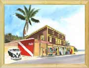Haliewa Surf Shop