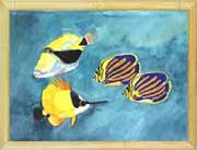 Hawaiian Fish