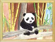 Hua Mei Panda Cub