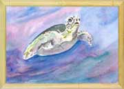 Purple Turtle