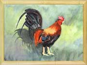 Rooster Colors