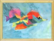 Triggerfish