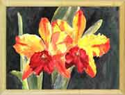 Yellow Orchids